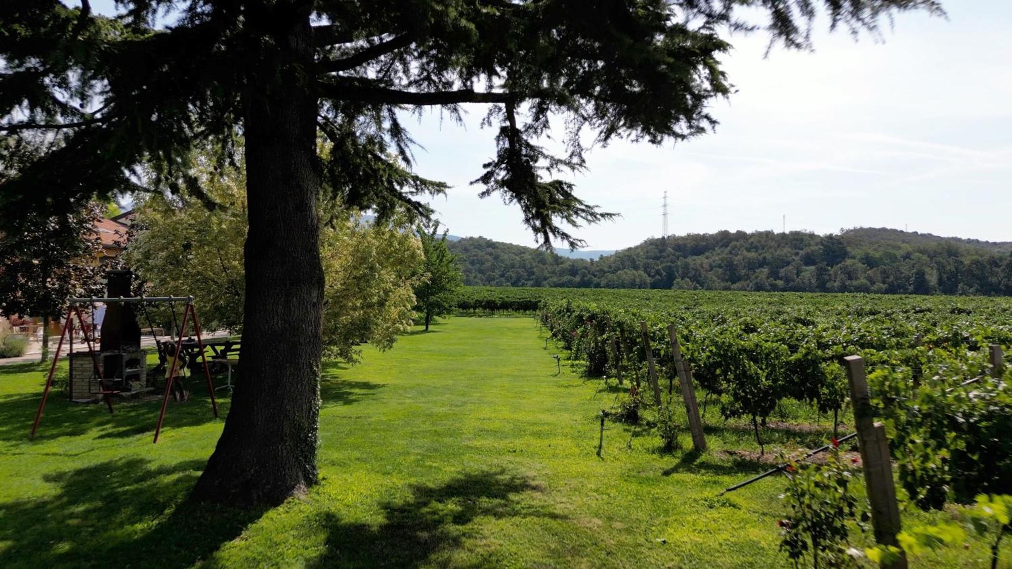 Agriturismo Corte Patrizia คาปริโน เวโรเนเซ ภายนอก รูปภาพ