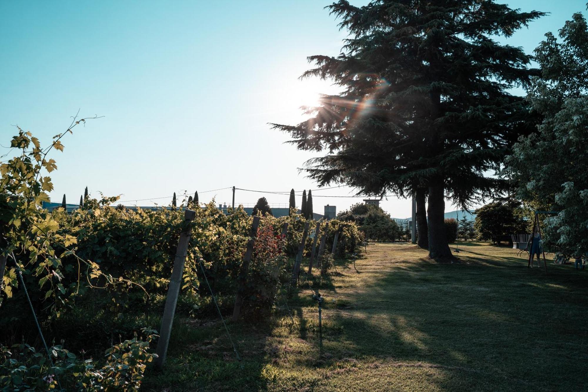 Agriturismo Corte Patrizia คาปริโน เวโรเนเซ ภายนอก รูปภาพ